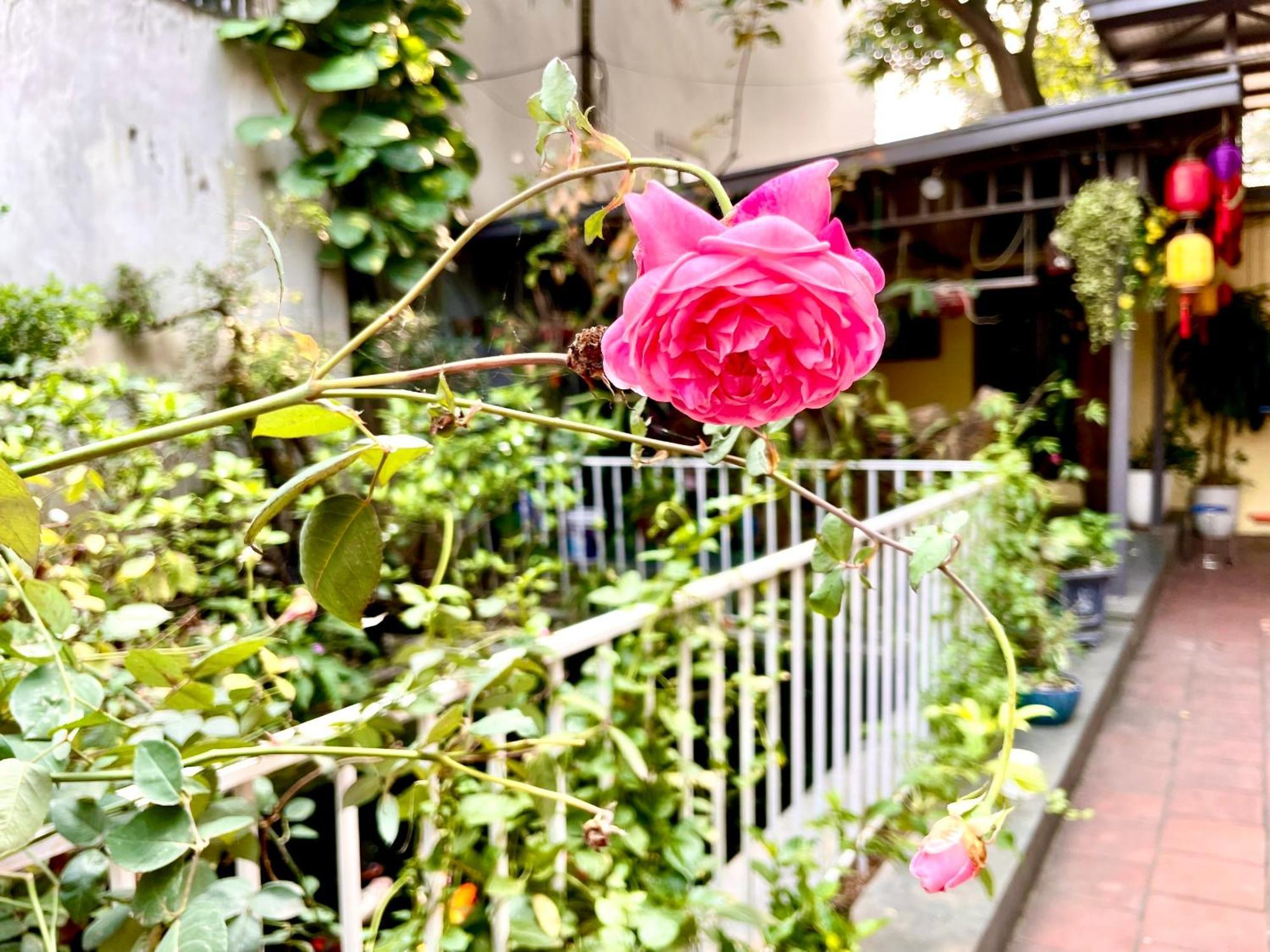 Lee Homestay Ханой Екстер'єр фото